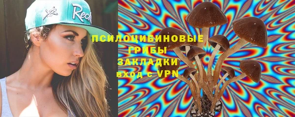 амф Горнозаводск