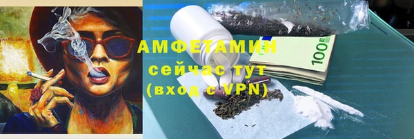прущие грибы Вязьма